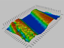 3D profilometry of wear track