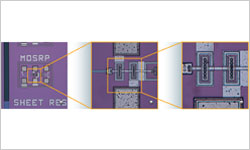 Optical Zoom Gives Close-up and Wide-angle as Needed