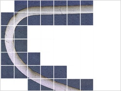 Multiple image acquisition of Platinum wires cross sections