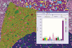 Advanced Materials Analysis Capability Is Available Through OLYMPUS Stream