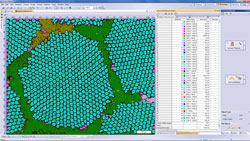 Work flow 3: Particle Analysis